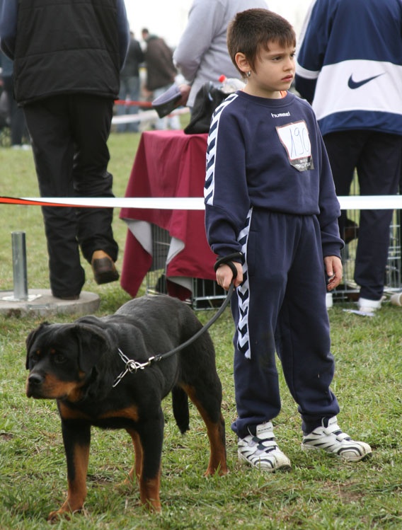 Ognjen